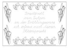 Tulpe-Elfchen-2-LA.pdf